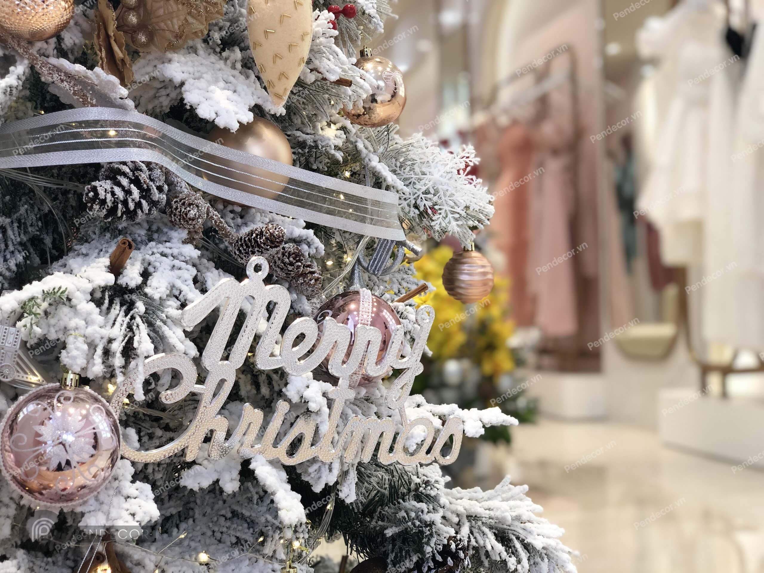 Thi Công Thực Tế Shop Thời Trang Nữ Ren Lee