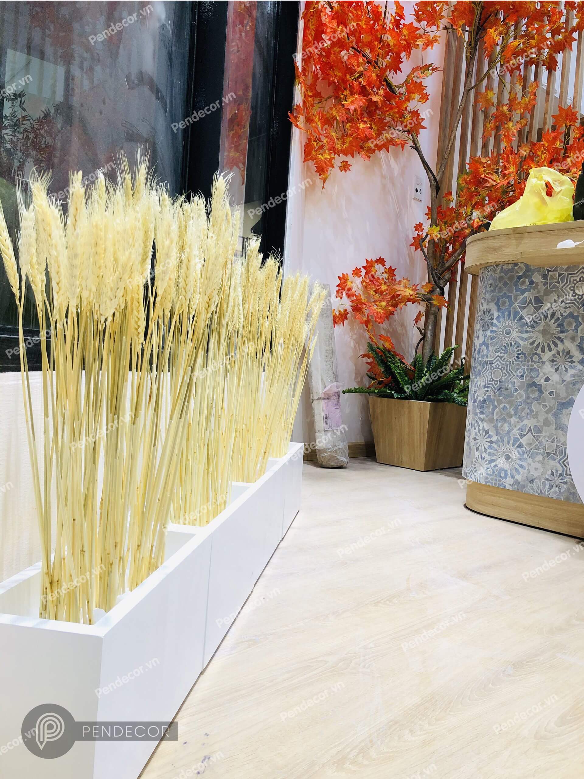 Thi Công Thực Tế Tiệm bánh Lisa Cakes - Thảo Điền Quận 2