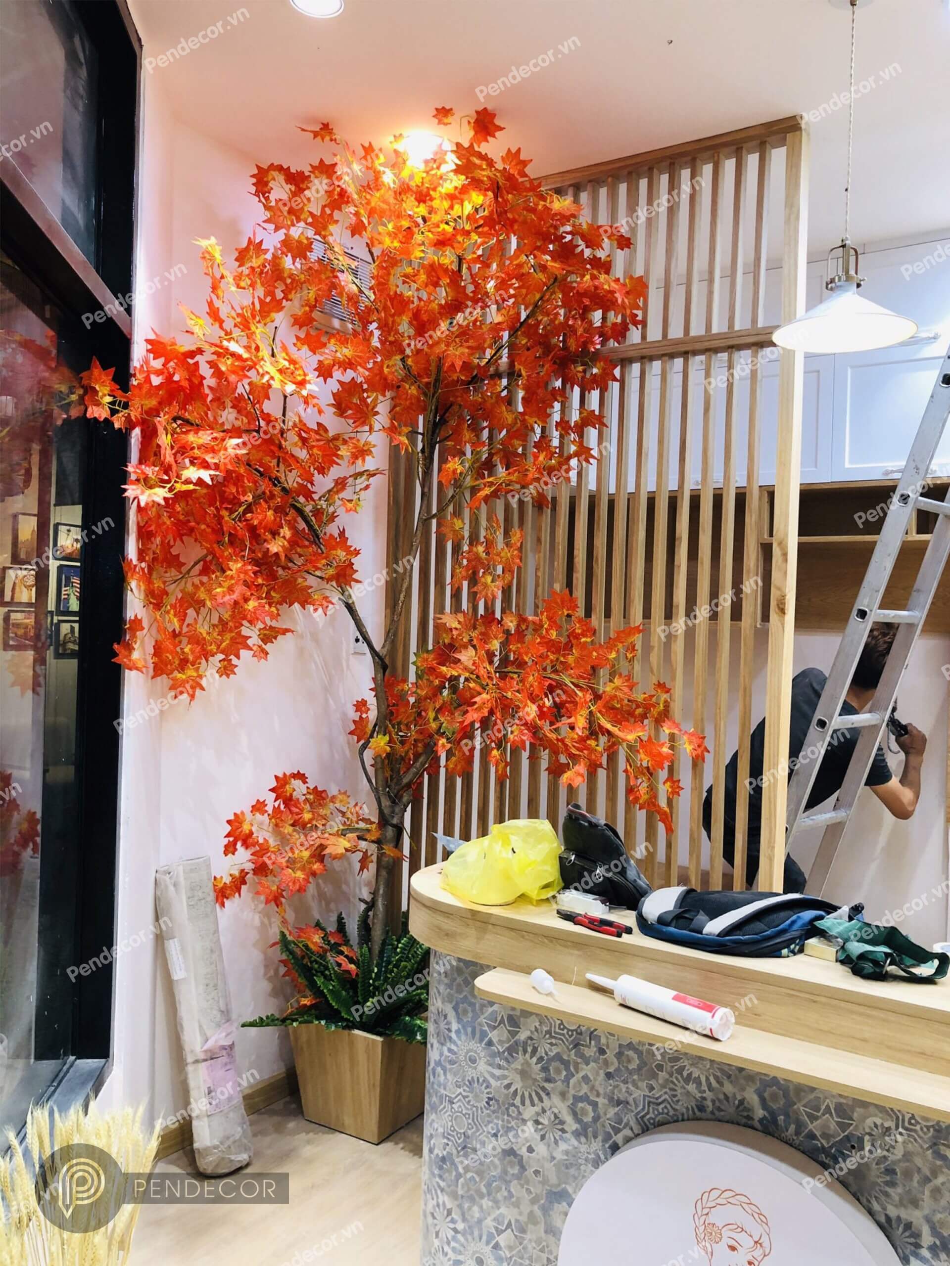 Thi Công Thực Tế Tiệm bánh Lisa Cakes - Thảo Điền Quận 2