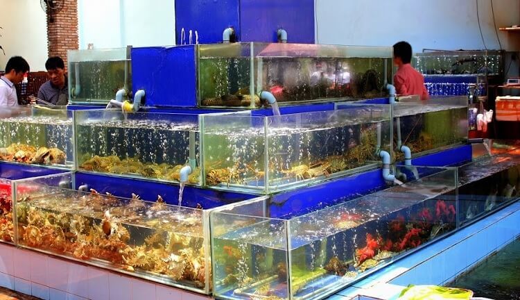 Bể hải sản là một trong những đặc trưng thu hút