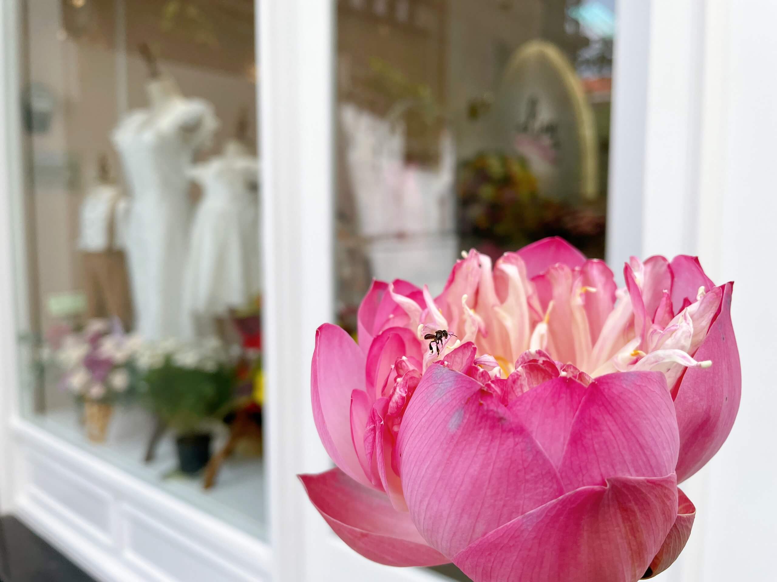 Thi Công Thực Tế Shop Thời Trang Trẻ Em Ling