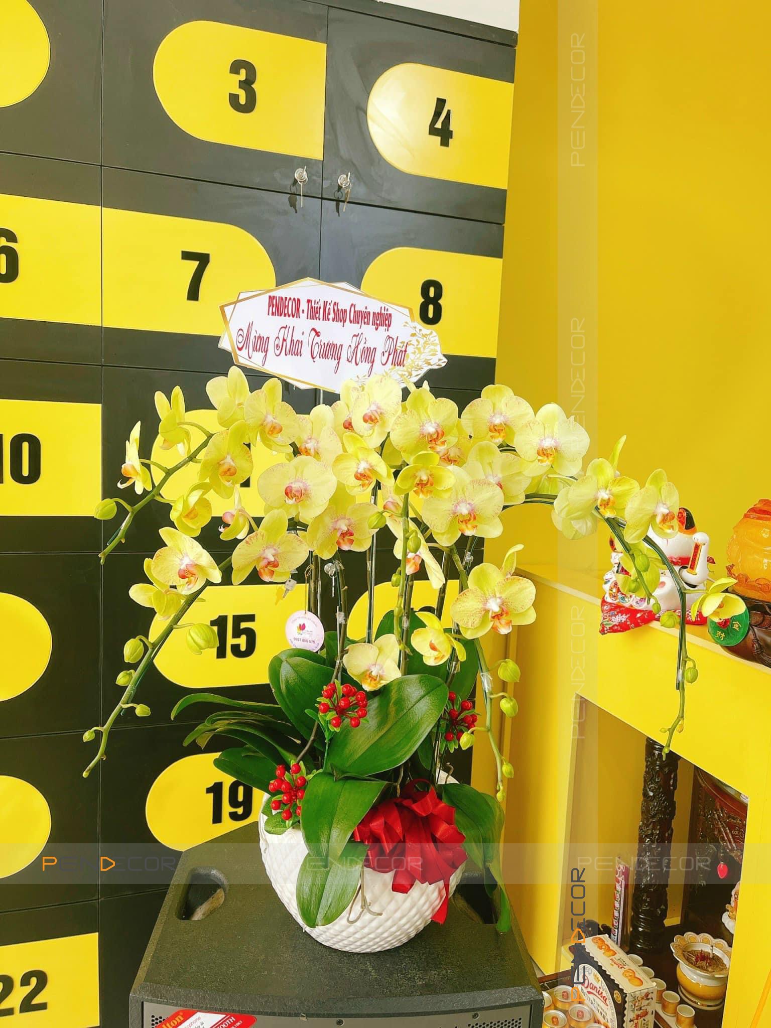 Thi Công Shop Phụ Kiện Gogi Gift House