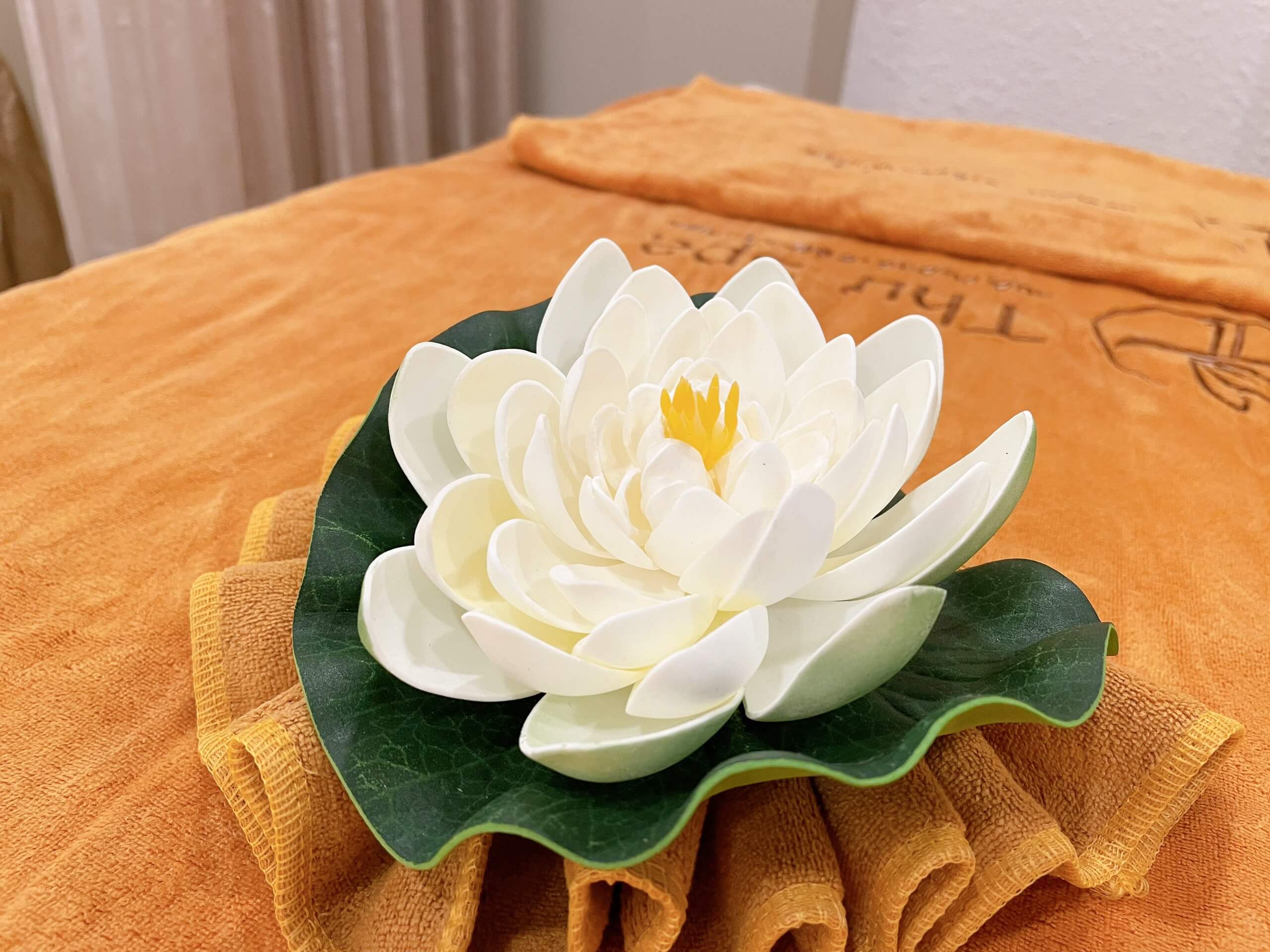 Thi Công Shop Thư Spa