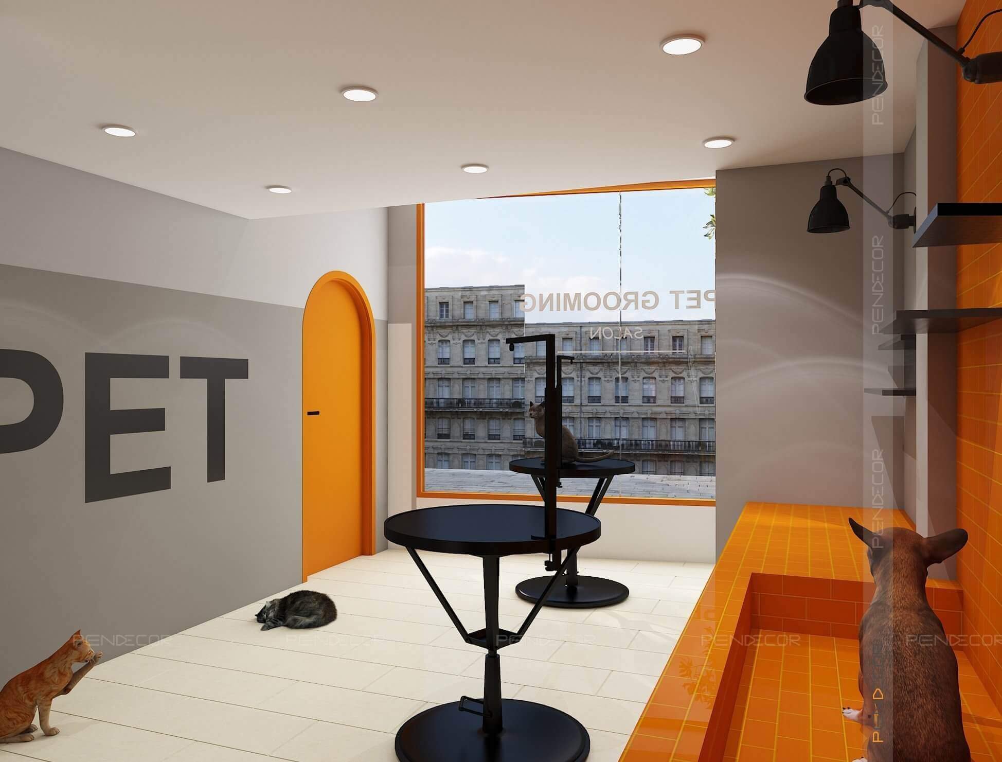 Thiết Kế Pet Shop Petiny