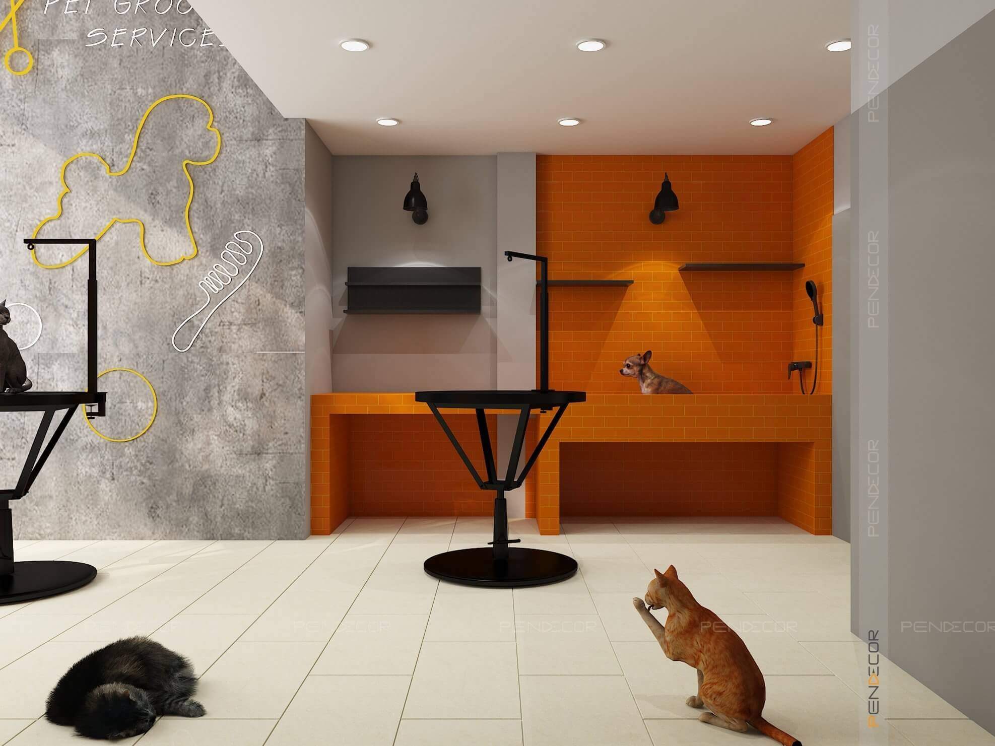 Thiết Kế Pet Shop Petiny