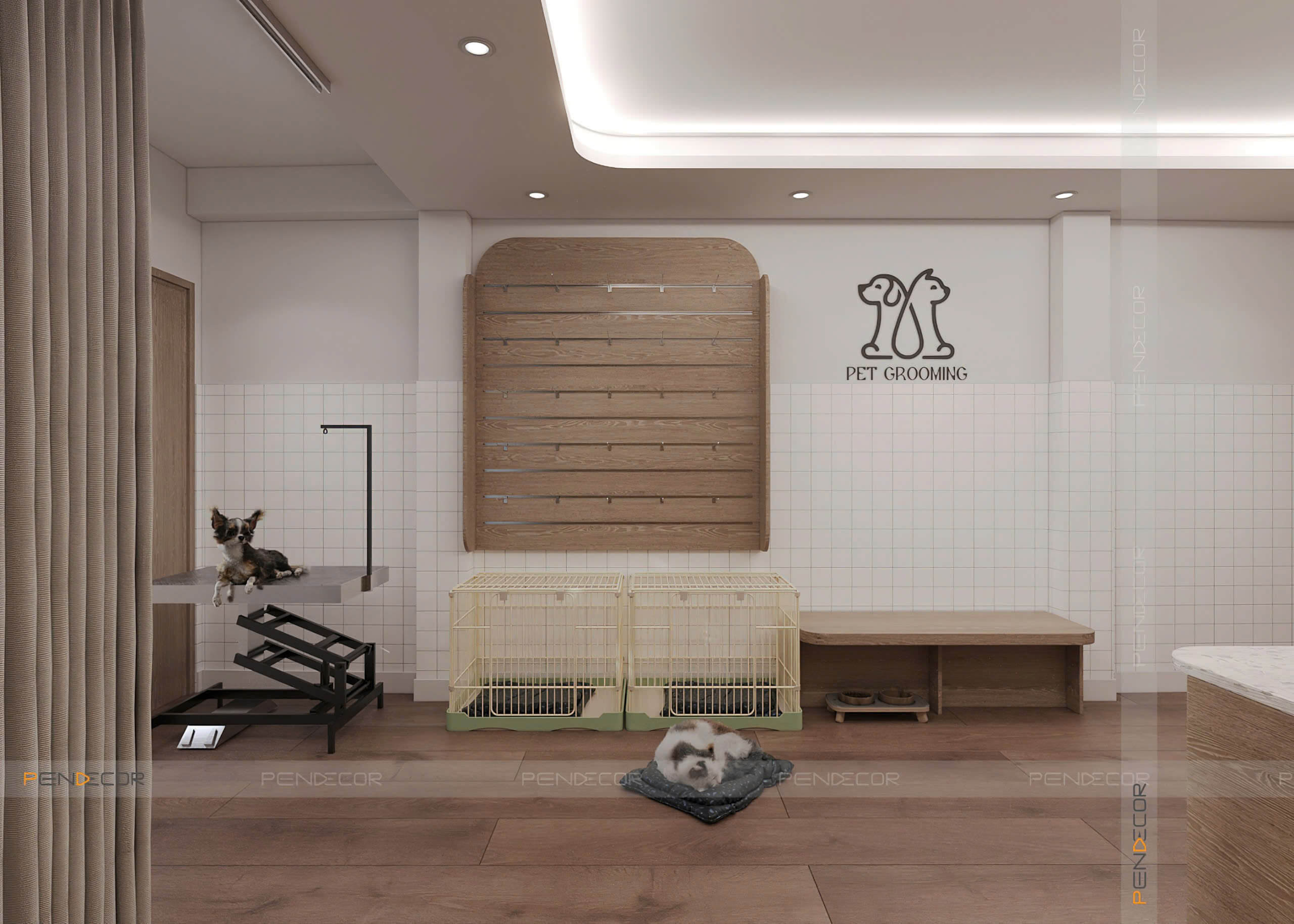 Thiết Kế Pet Shop Nasa Pet