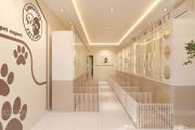 Thiết Kế Pet Shop LongBong Petcare