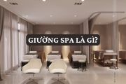 Giường spa là gì? Vai trò, Phân loại, Cấu tạo và Tiêu chí lựa chọn