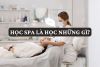 Học spa là học những gì? Điều kiện, Chương trình, Cơ hội và Lời khuyên