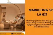 Marketing spa là gì? Vai trò, Hình thức, Chiến lược và Xu hướng