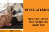 Đi spa là làm gì? Quy trình, Lợi ích và Kinh nghiệm cho người mới