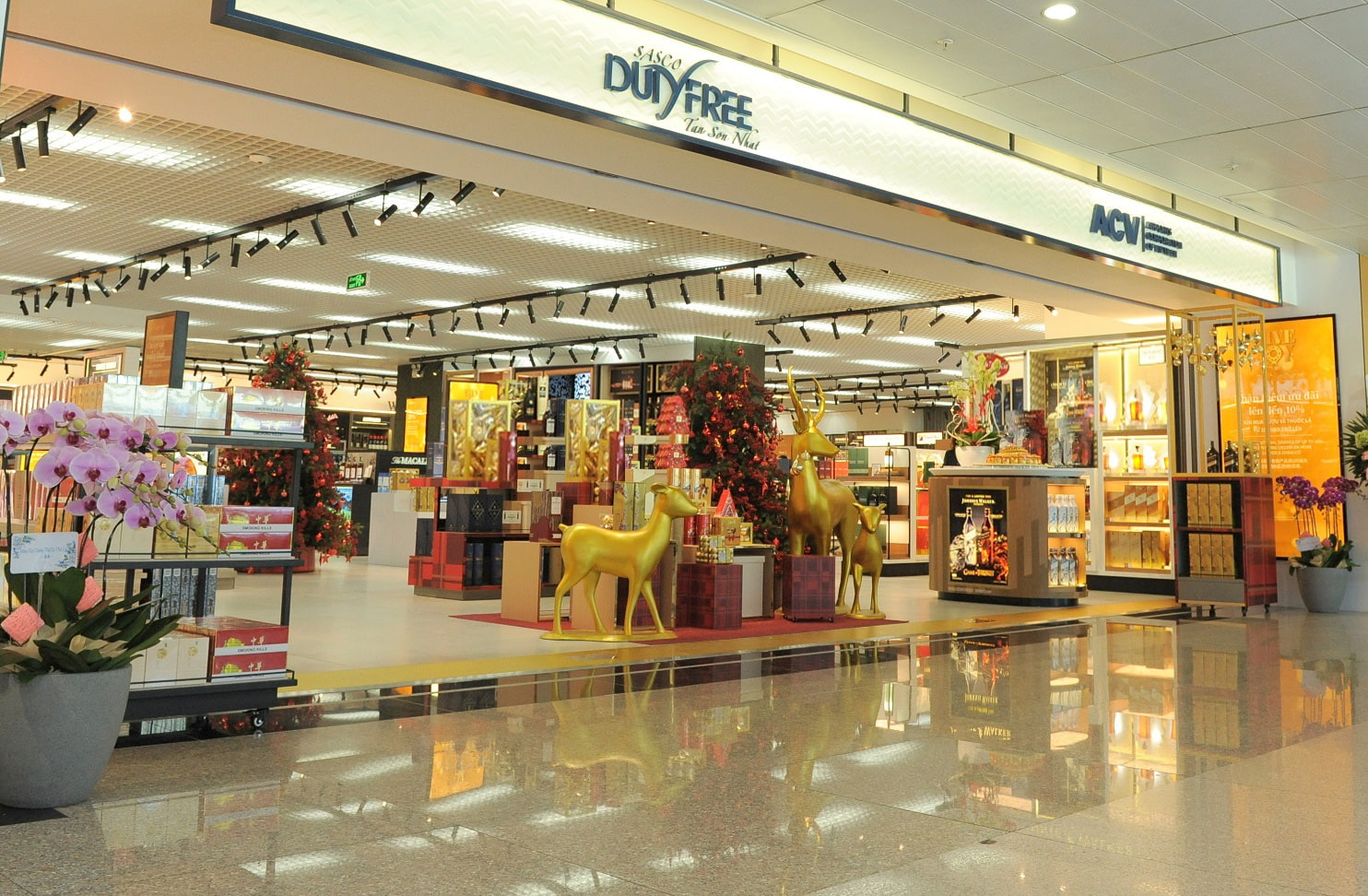 thiết kế cửa hàng Pendecor